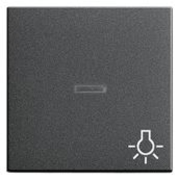 Gira 067428 System 55 Kontrollwippe und Symbol Licht Anthrazit ***RESTPOSTEN***