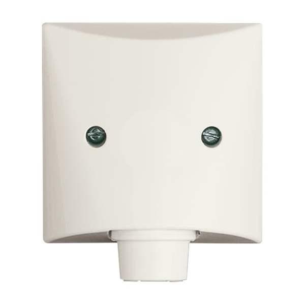 Busch-Jaeger 2133-32 Zentralscheibe mit Tragring Allwetter 44 (IP44) cremeweiß