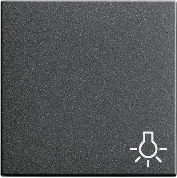 Gira System 55 anthrazit, Wippe "Symbol Licht" 028528 ***RESTPOSTEN***