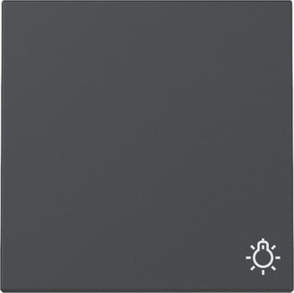 Gira System 55 anthrazit, Wippe "Symbol Licht" 328528