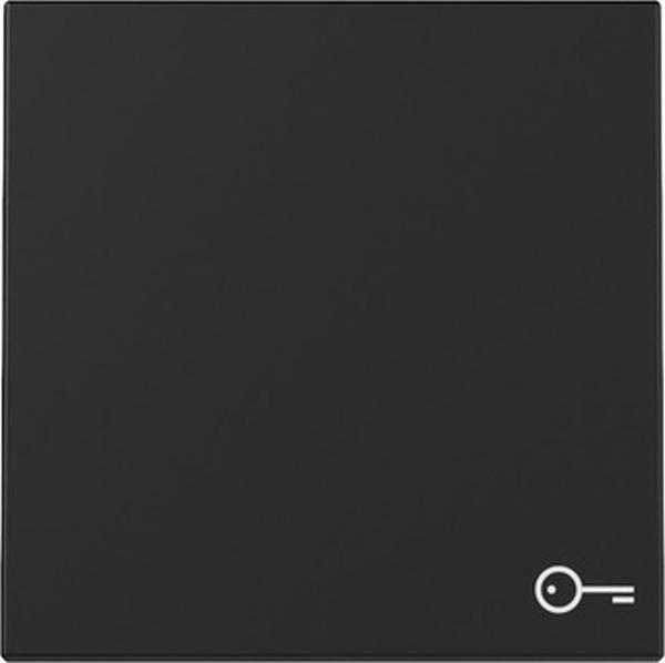 Gira 3287005 System 55 Wippe mit Symbol Tür Schwarz matt