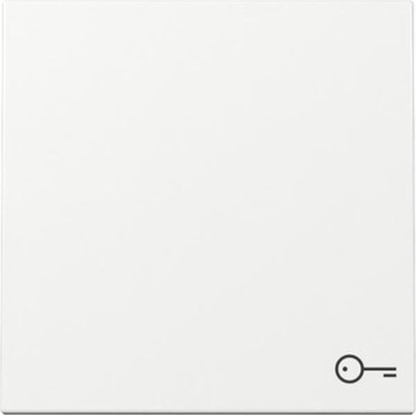 Gira 328703 System 55 Wippe Symbol "Schlüssel" reinweiss glänzend