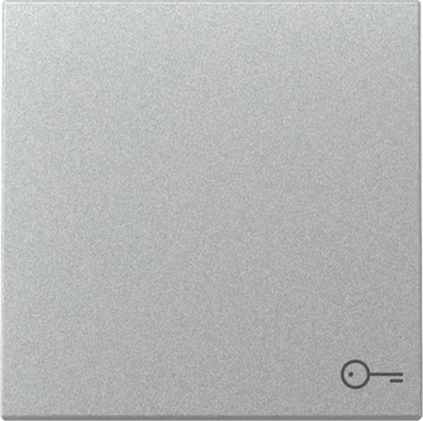 Gira 328726 System 55 Wippe mit Symbol Tür Farbe Aluminium lackiert