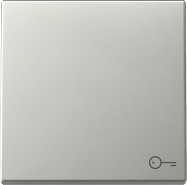 Gira 3287600 System 55 Wippe mit Symbol Tür Edelstahl