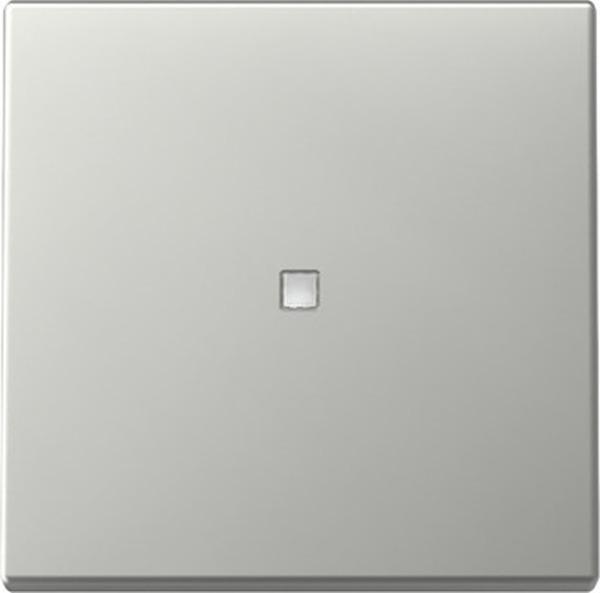Gira 3290600 System 55 Wippe mit Kontrollfenster Edelstahl