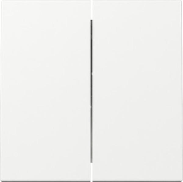 Gira 029503 System 55 Wippe 2-fach Serie reinweiss glänzend ***RESTPOSTEN***