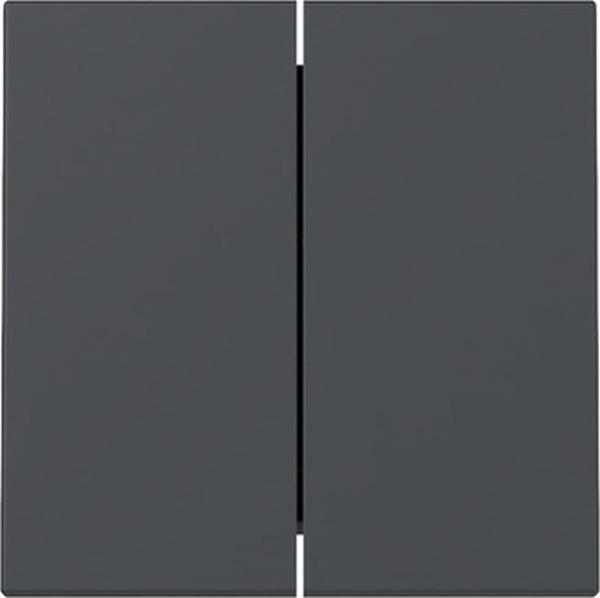 Gira System 55 anthrazit, Wippe "Serie" 329528