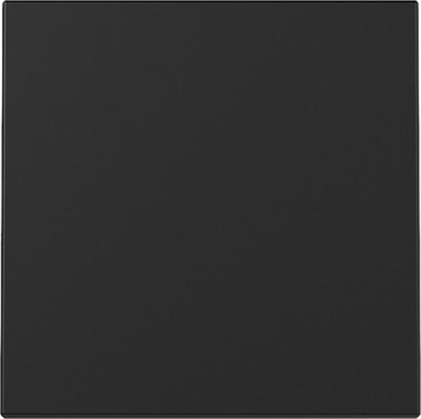 Gira 3296005 System 55 Wippe Schwarz matt