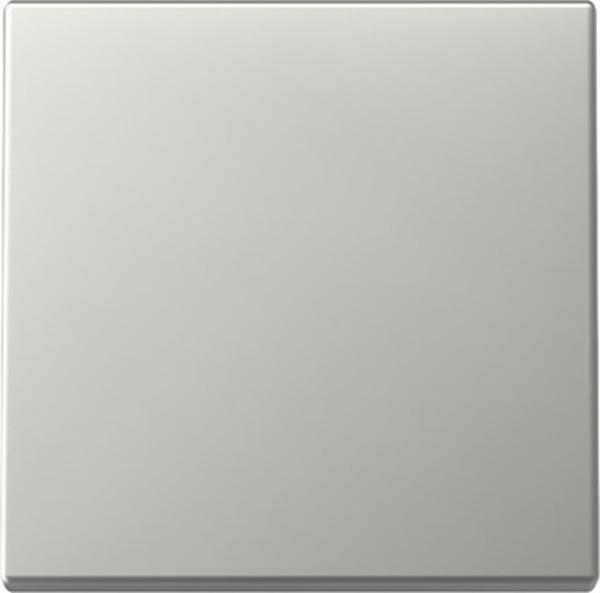 Gira 3296600 System 55 Wippe Edelstahl