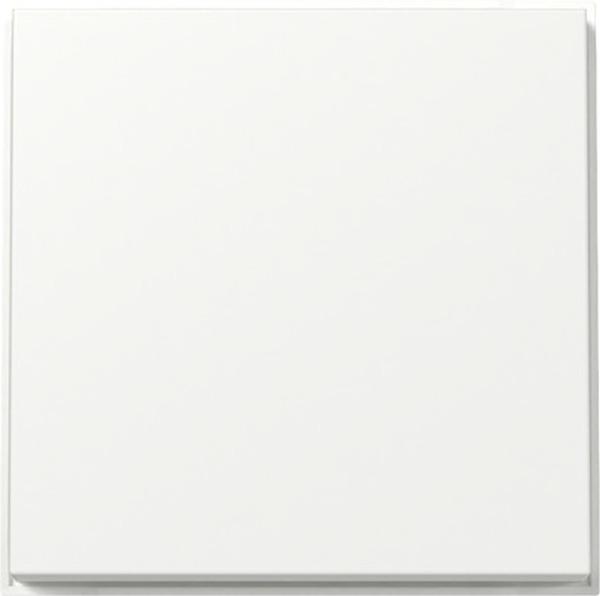 GIRA Wippe für Wippschalter und Wipptaster 329666 TX 44 Farbe: Reinweiss