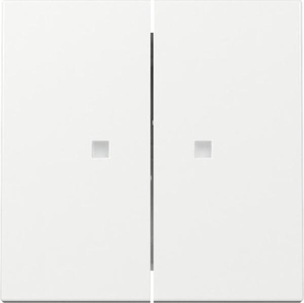 Gira 363103 System 55 Wippe 2-fach Serie mit Kontrollfenster reinweiss glänzend