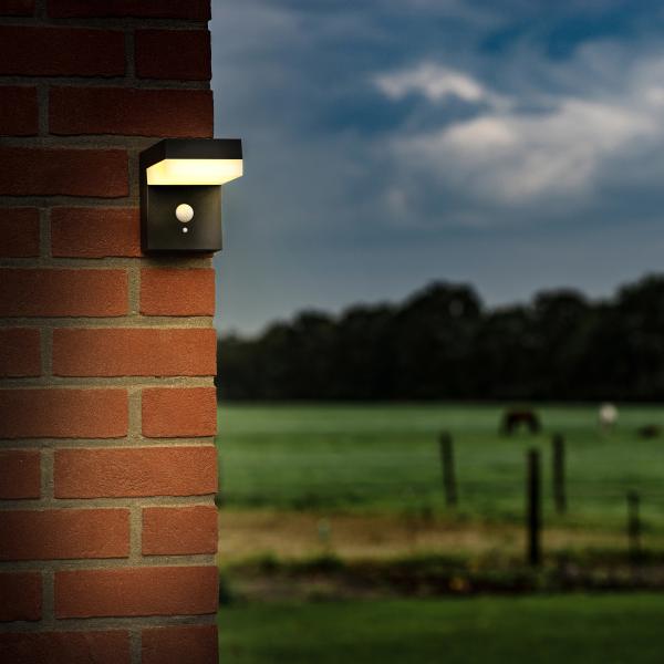 SHADA LED Solar Außen-Wandleuchte mit Sensor, 3.3W 600lm 2700K, Farbe schwarz (1000560_01)