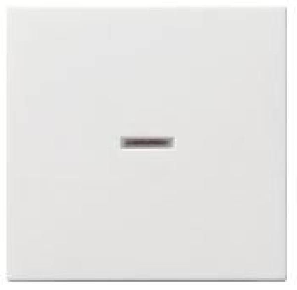 Gira 029027 System 55 Kontrollwippe Reinweiß seidenmatt ***RESTPOSTEN***