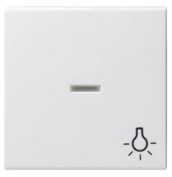 Gira 067427 System 55 Kontrollwippe und Symbol Licht Reinweiß seidenmatt ***RESTPOSTEN***