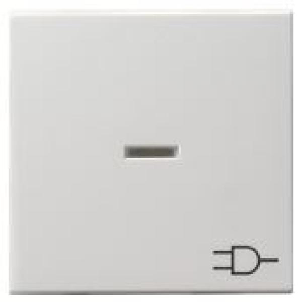 Gira 020927 System 55 Kontrollwippe und Symbol Steckdose Reinweiß seidenmatt ***RESTPOSTEN***
