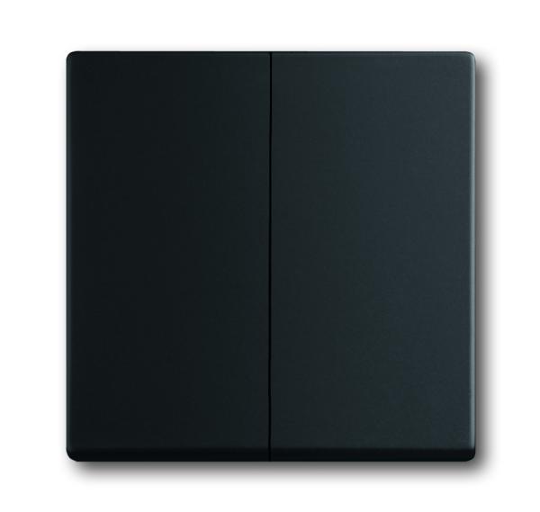 Busch-Jaeger Wippe Serie 1785-885 schwarz matt