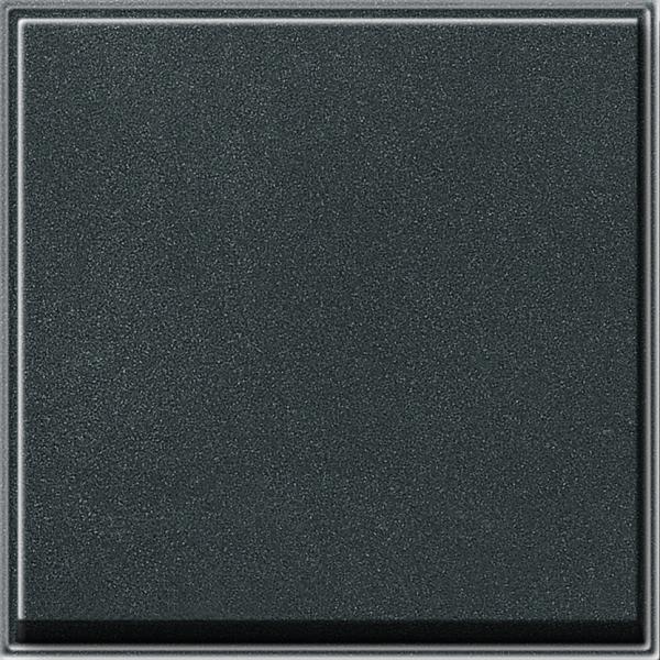 GIRA Wippe für Wippschalter und Wipptaster 029667 TX 44 Farbe: Anthrazit ***RESTPOSTEN***