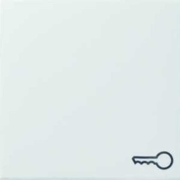 Gira 028703 System 55 Wippe Symbol "Schlüssel" reinweiss glänzend ***RESTPOSTEN***