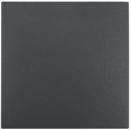 Berker 16201606 Wippe B.3/B.7 anthrazit, matt