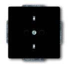 Busch-Jaeger 20 EUC-81 Future Schuko Steckdose carat anthrazit (glanz)