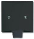 Busch-Jaeger 2133-35 Zentralscheibe mit Tragring Allwetter 44 (IP44) anthrazit