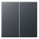 Jung A1702BFANM Steuertaste Standard 2-fach bruchsicher anthrazit matt ***RESTPOSTEN***