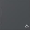 Gira System 55 anthrazit, Wippe "Symbol Licht" 328528