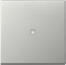 Gira 3290600 System 55 Wippe mit Kontrollfenster Edelstahl