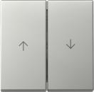 Gira 3294600 System 55 Wippe 2fach mit Pfeilsymbol Edelstahl