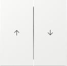 Gira 329470 Wippe "Jalousie" Flächenschalter glänzend