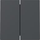 Gira System 55 anthrazit, Wippe "Serie" 329528