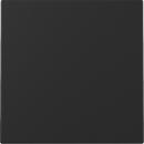 Gira 3296005 System 55 Wippe Schwarz matt