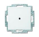 Busch-Jaeger 2538-914 Balance Si Blind-Zentralscheibe mit Tragring alpinweiss